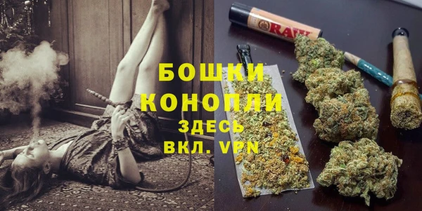 шишки Волоколамск