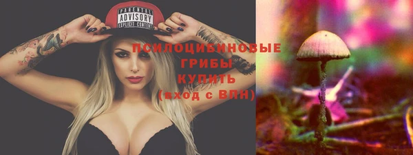 шишки Волоколамск