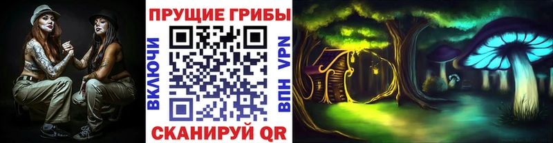 Псилоцибиновые грибы GOLDEN TEACHER  Черняховск 
