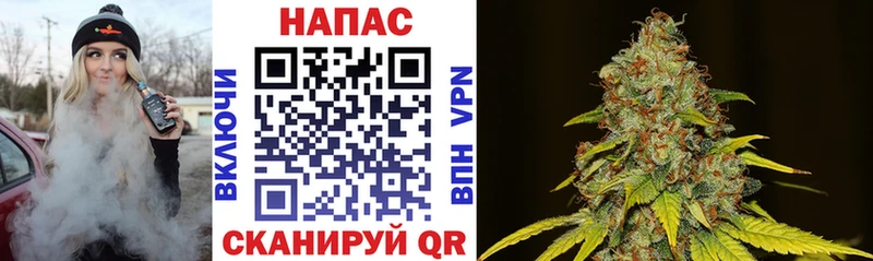 где найти наркотики Черняховск Шишки марихуана White Widow